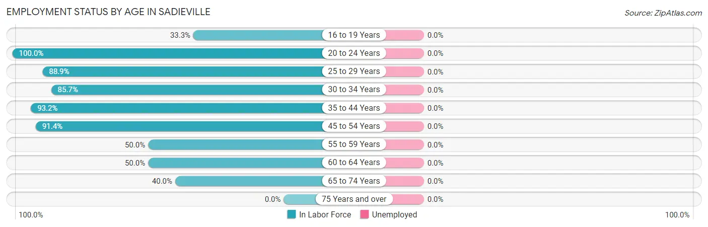 Employment Status by Age in Sadieville