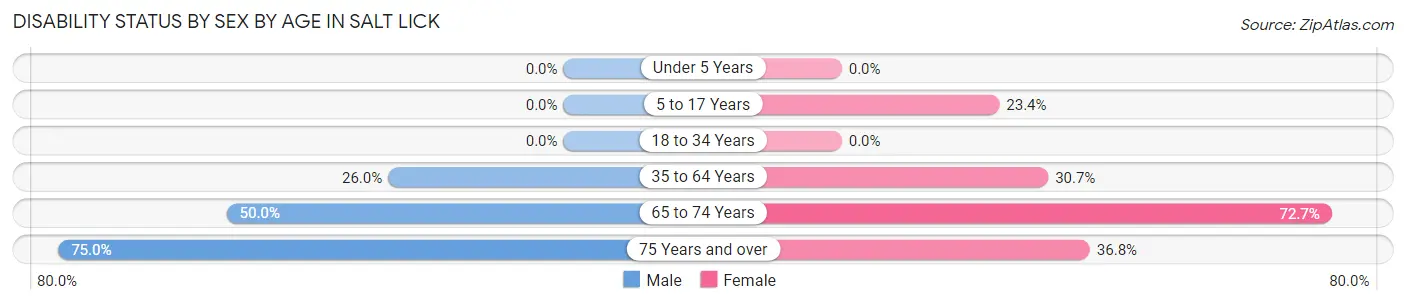 Disability Status by Sex by Age in Salt Lick