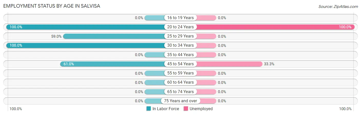 Employment Status by Age in Salvisa