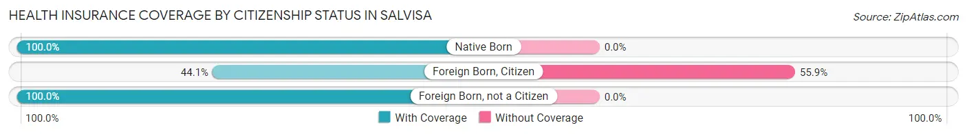 Health Insurance Coverage by Citizenship Status in Salvisa