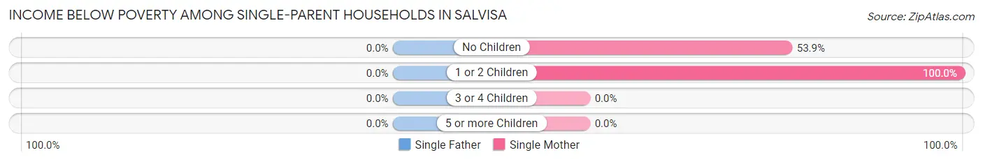 Income Below Poverty Among Single-Parent Households in Salvisa