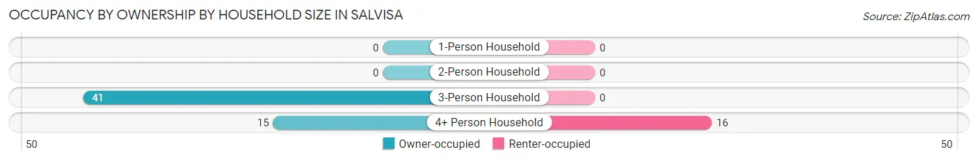 Occupancy by Ownership by Household Size in Salvisa