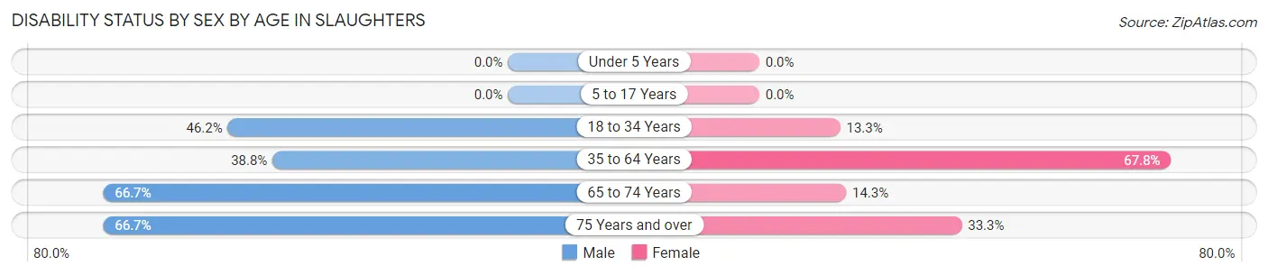Disability Status by Sex by Age in Slaughters
