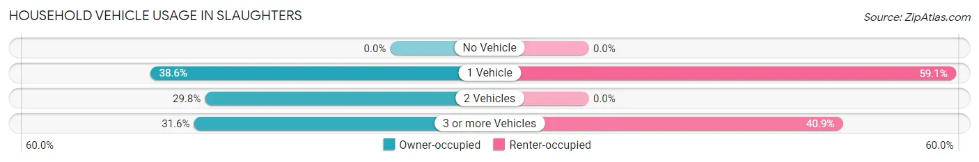 Household Vehicle Usage in Slaughters