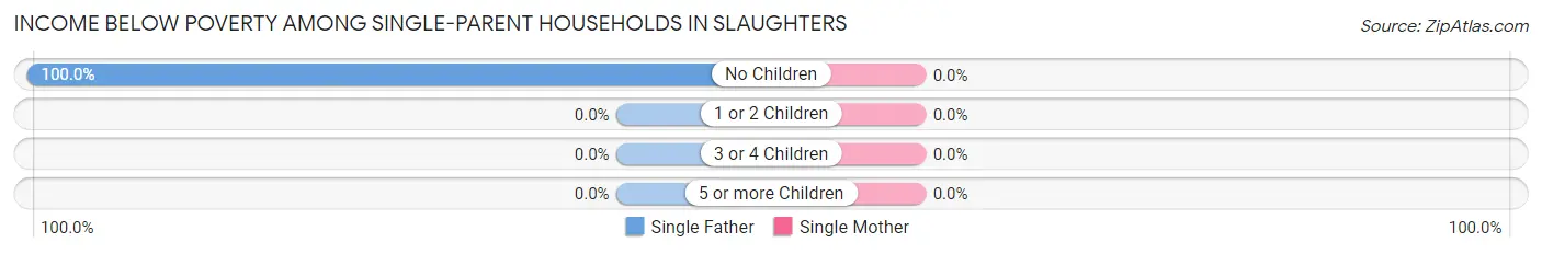 Income Below Poverty Among Single-Parent Households in Slaughters