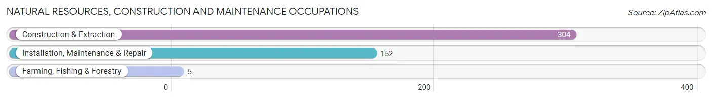 Natural Resources, Construction and Maintenance Occupations in Somerset