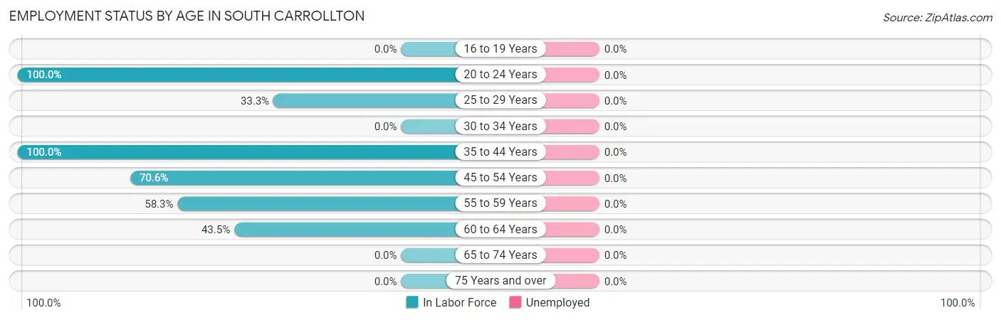 Employment Status by Age in South Carrollton