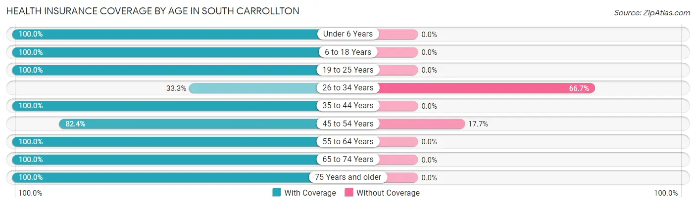 Health Insurance Coverage by Age in South Carrollton