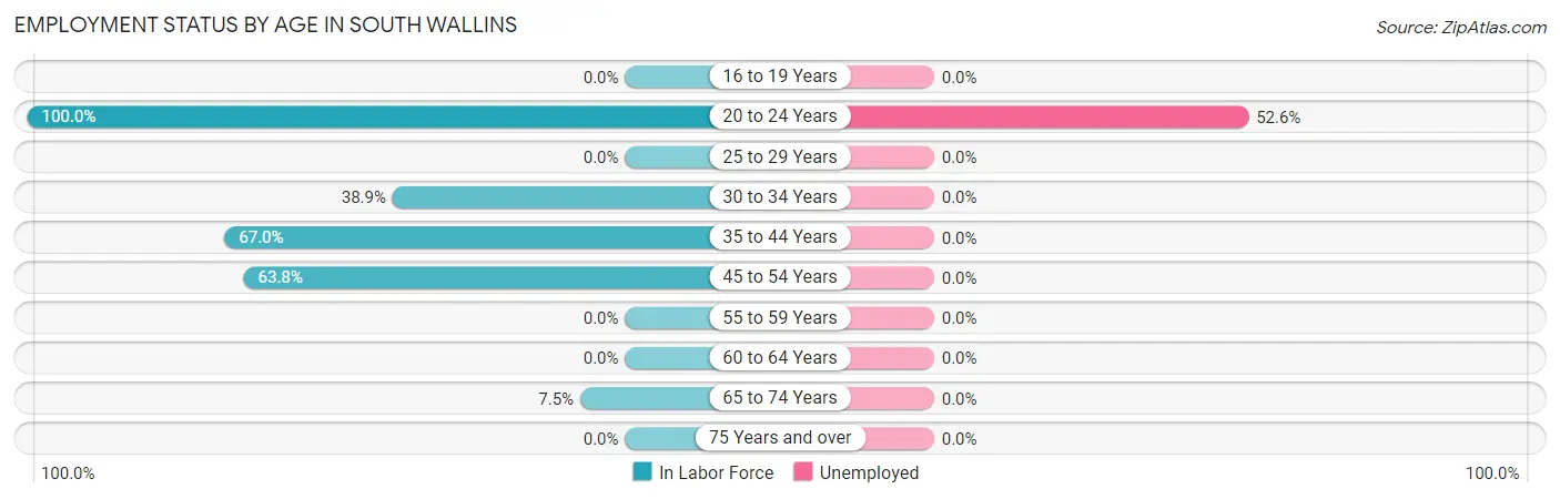 Employment Status by Age in South Wallins