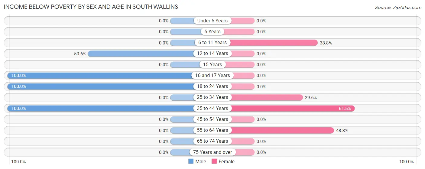 Income Below Poverty by Sex and Age in South Wallins