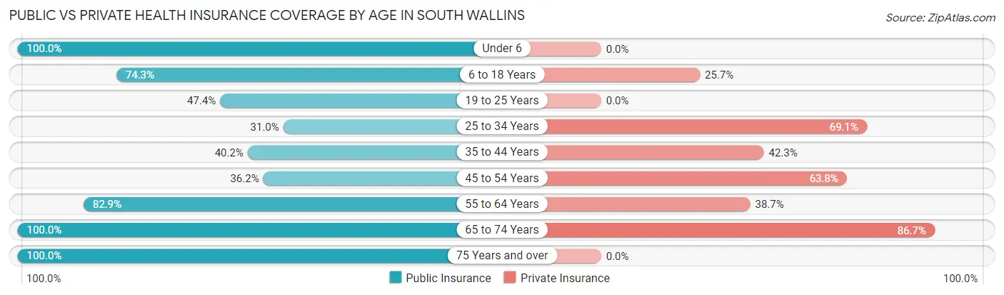 Public vs Private Health Insurance Coverage by Age in South Wallins