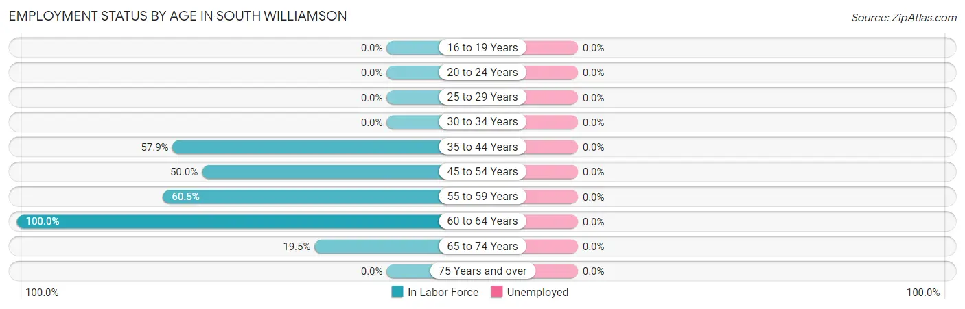 Employment Status by Age in South Williamson