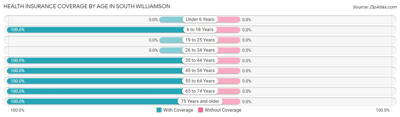 Health Insurance Coverage by Age in South Williamson
