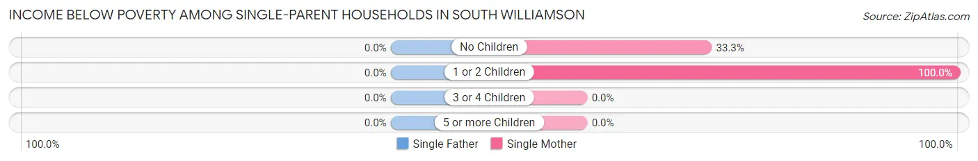 Income Below Poverty Among Single-Parent Households in South Williamson