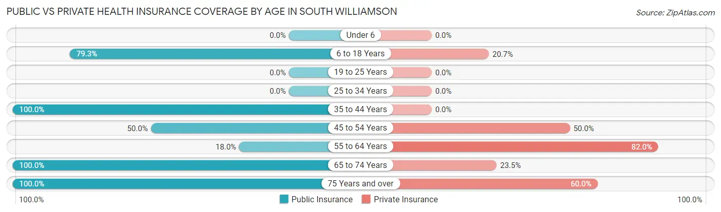 Public vs Private Health Insurance Coverage by Age in South Williamson