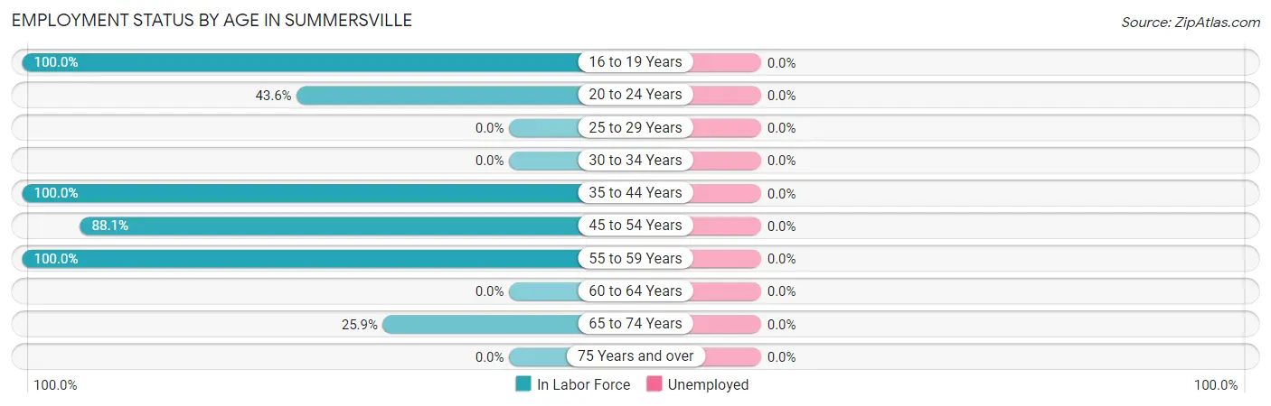 Employment Status by Age in Summersville