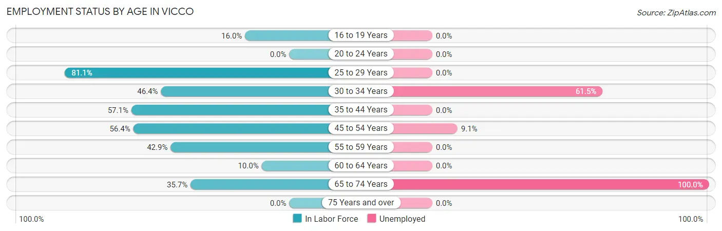 Employment Status by Age in Vicco