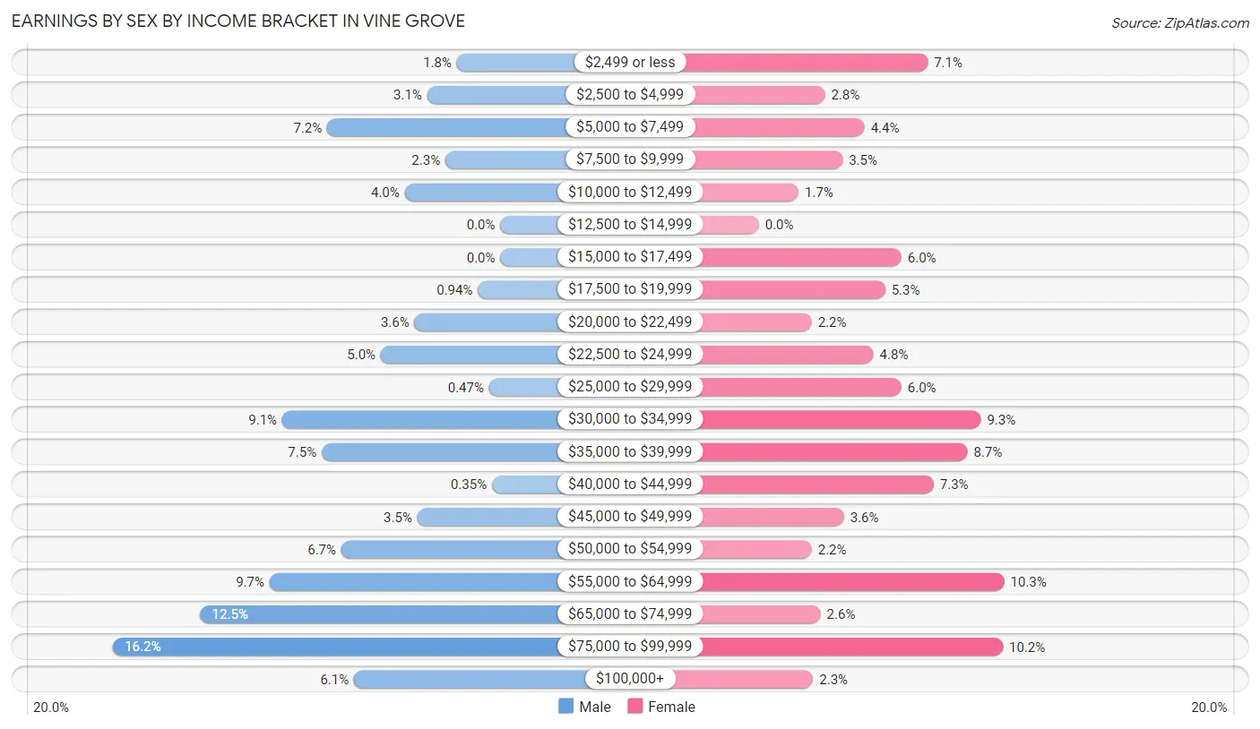 Earnings by Sex by Income Bracket in Vine Grove