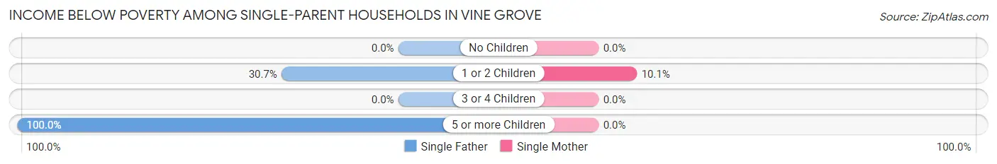 Income Below Poverty Among Single-Parent Households in Vine Grove