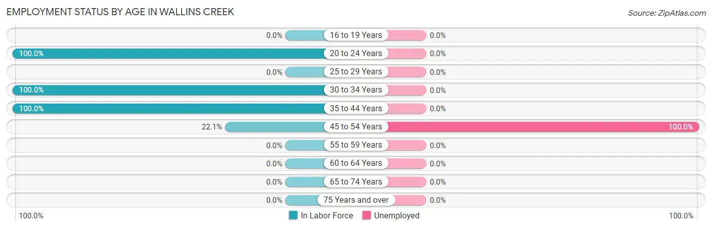 Employment Status by Age in Wallins Creek