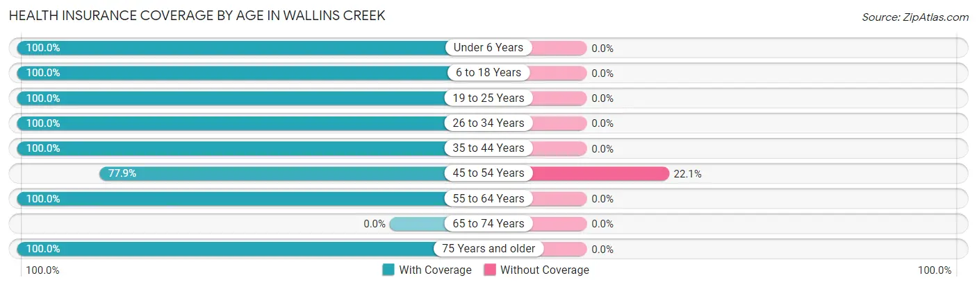 Health Insurance Coverage by Age in Wallins Creek