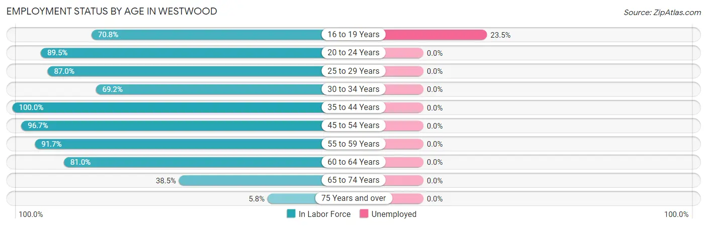 Employment Status by Age in Westwood