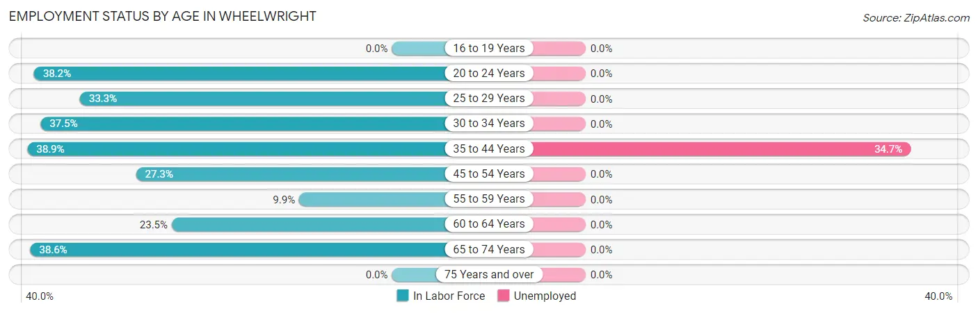 Employment Status by Age in Wheelwright