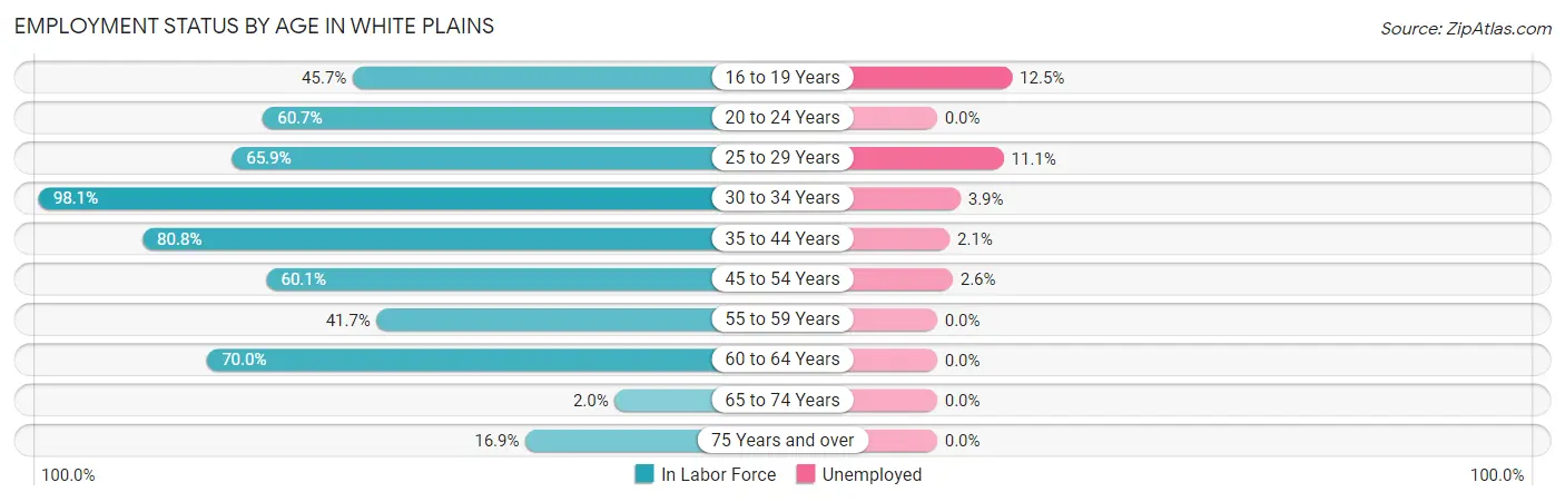 Employment Status by Age in White Plains