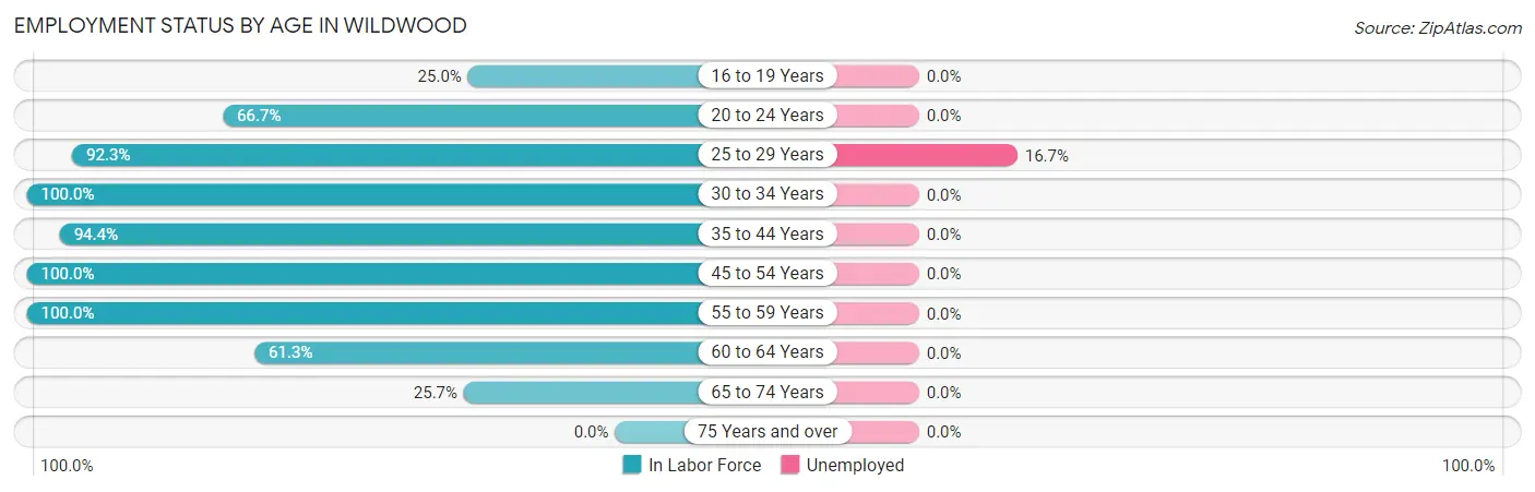 Employment Status by Age in Wildwood