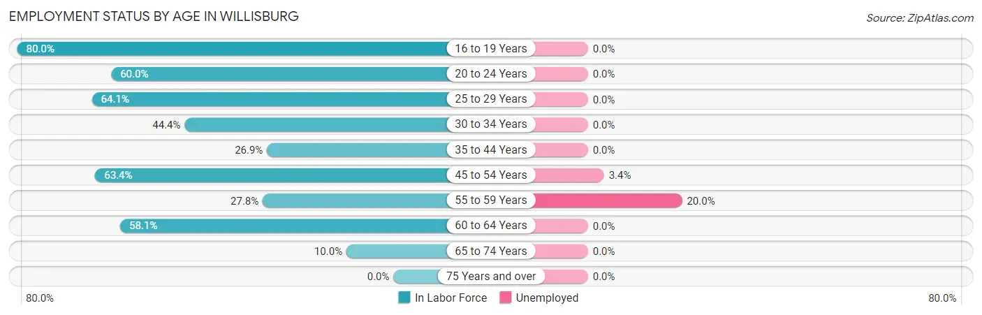 Employment Status by Age in Willisburg