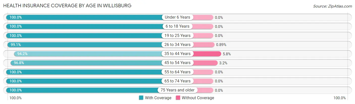 Health Insurance Coverage by Age in Willisburg