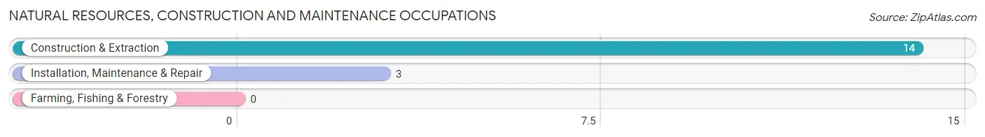 Natural Resources, Construction and Maintenance Occupations in Windy Hills