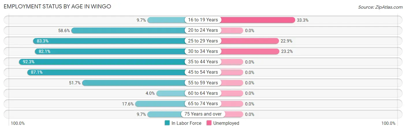 Employment Status by Age in Wingo