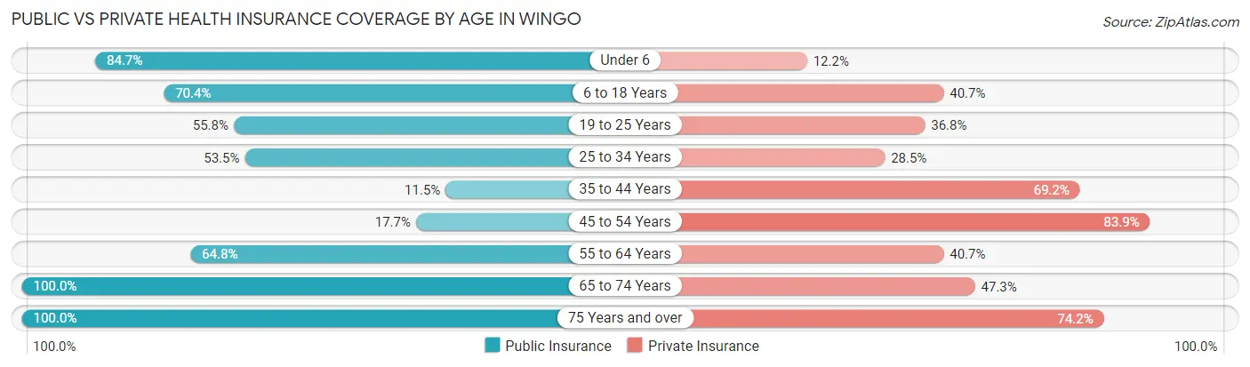 Public vs Private Health Insurance Coverage by Age in Wingo