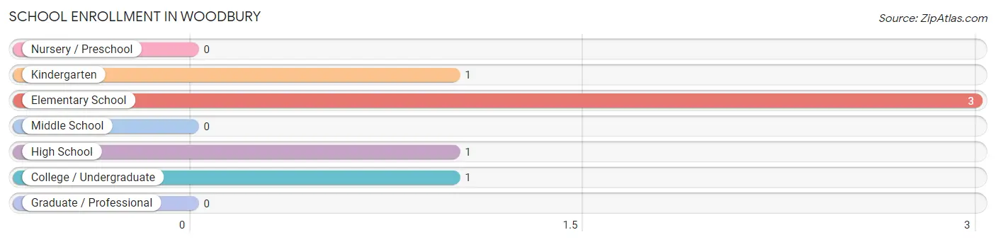 School Enrollment in Woodbury