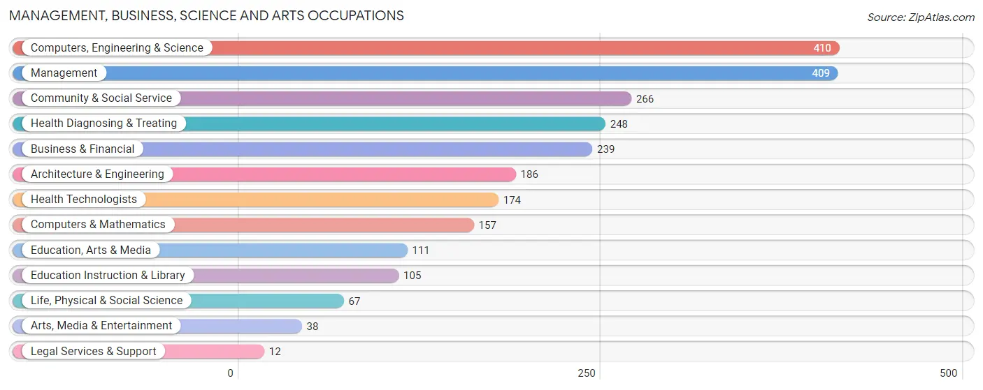 Management, Business, Science and Arts Occupations in Addis