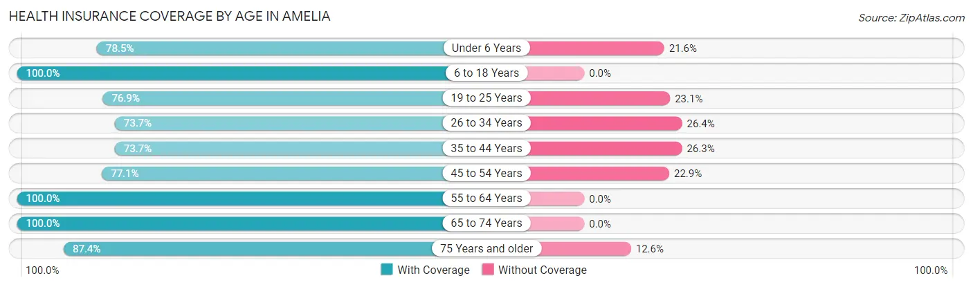 Health Insurance Coverage by Age in Amelia