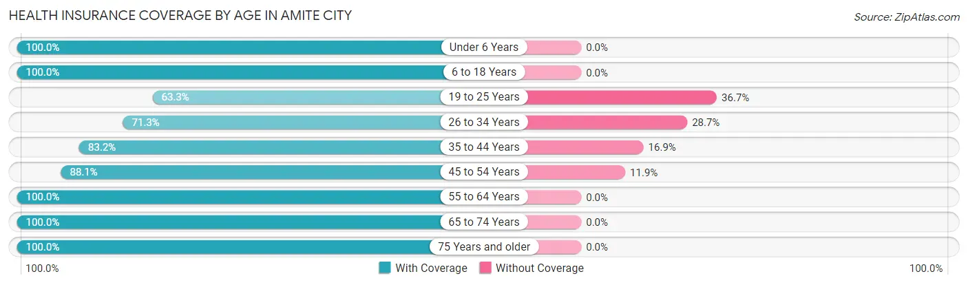 Health Insurance Coverage by Age in Amite City