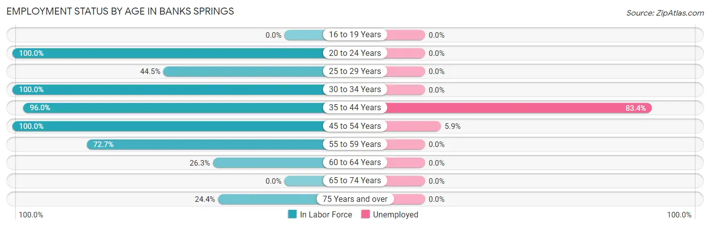 Employment Status by Age in Banks Springs