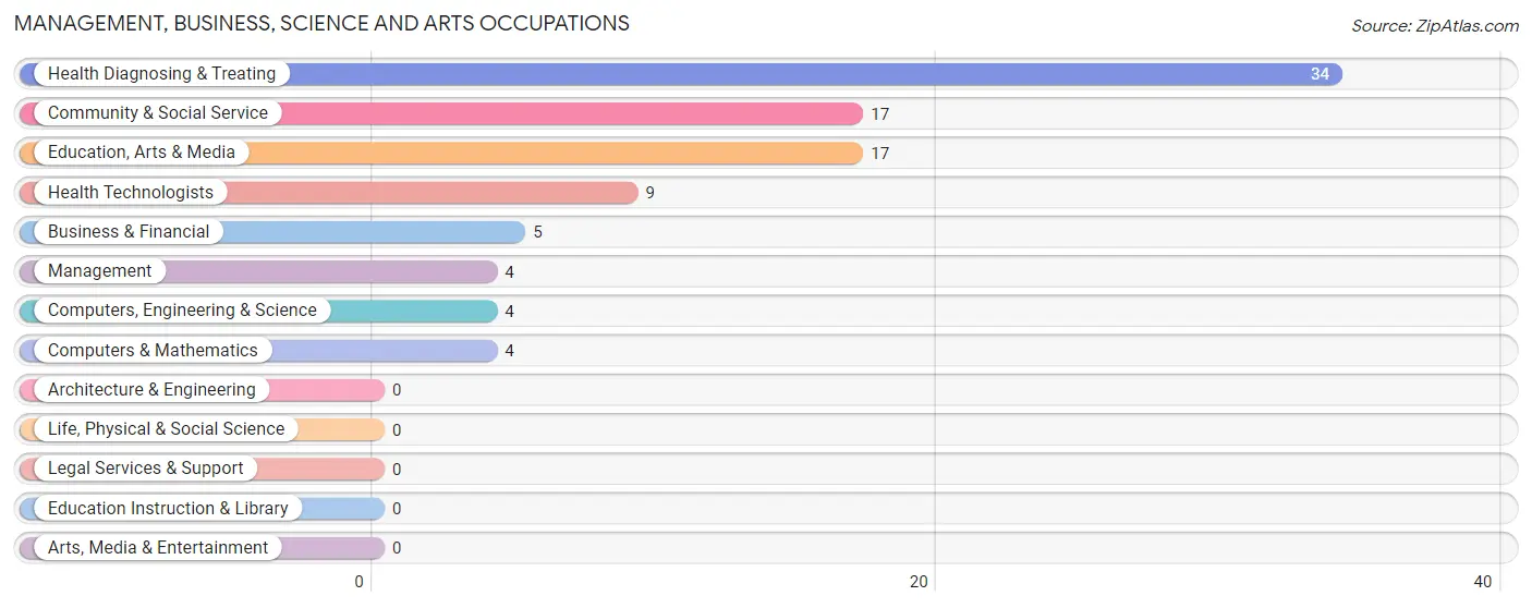 Management, Business, Science and Arts Occupations in Basile