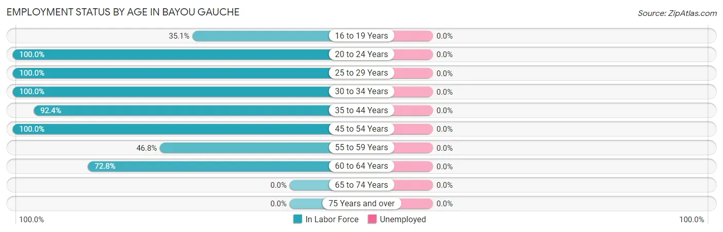 Employment Status by Age in Bayou Gauche