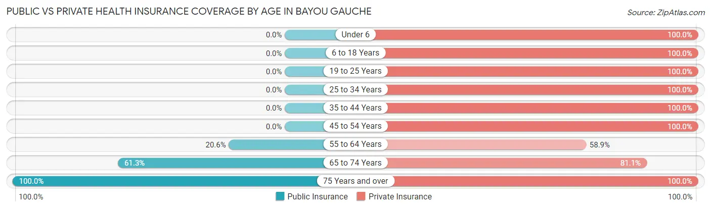 Public vs Private Health Insurance Coverage by Age in Bayou Gauche