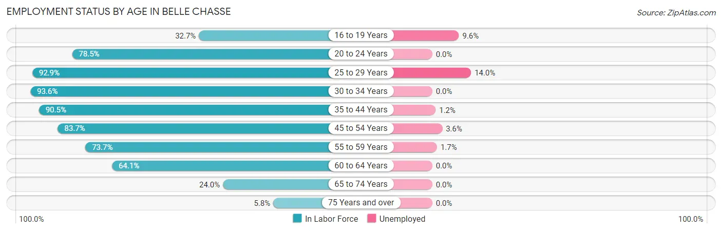 Employment Status by Age in Belle Chasse