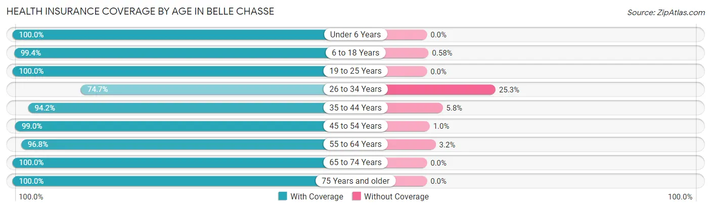 Health Insurance Coverage by Age in Belle Chasse