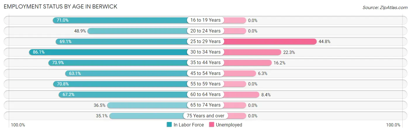 Employment Status by Age in Berwick