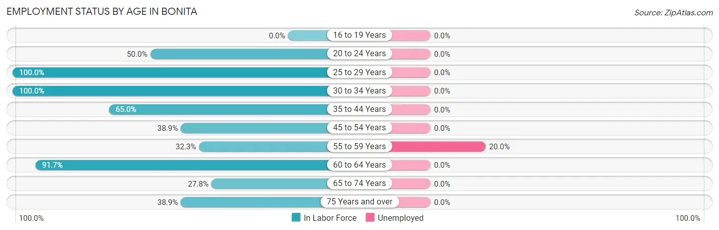 Employment Status by Age in Bonita