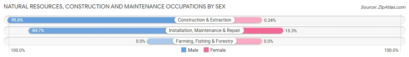 Natural Resources, Construction and Maintenance Occupations by Sex in Bossier City