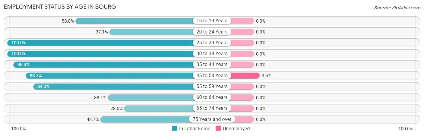 Employment Status by Age in Bourg