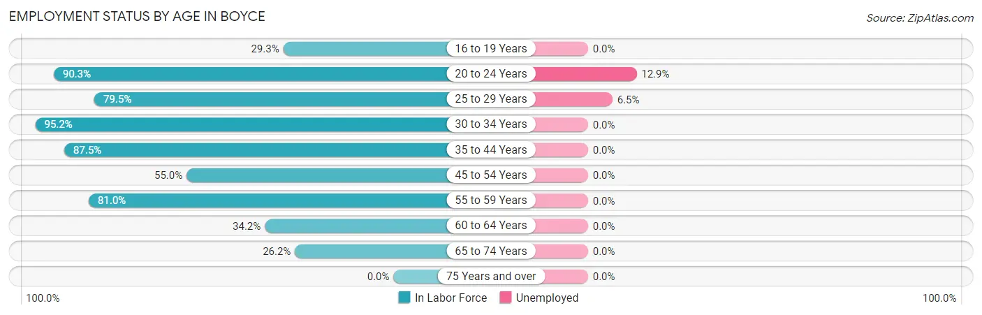 Employment Status by Age in Boyce