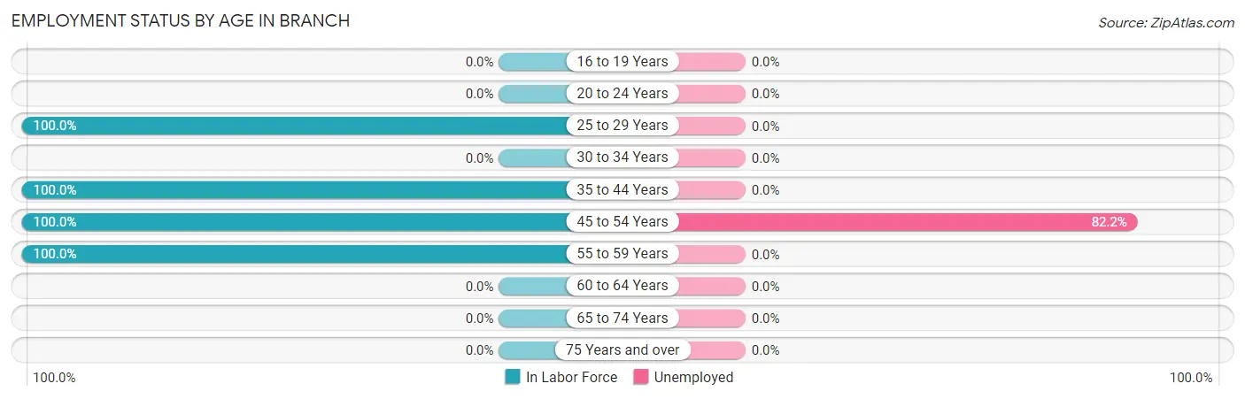 Employment Status by Age in Branch